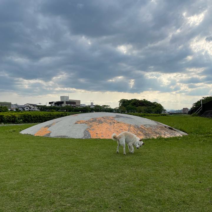 962434f7 14e7 452a 81aa 373a2e60b831 1651411729524