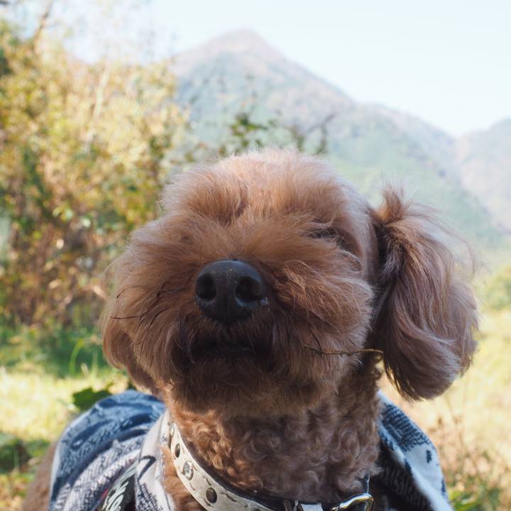 962452cf 4d2d 4a8c 8dc0 bbbd9461a68a 1572672388966