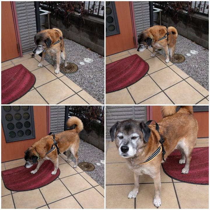 96245546 0801 41c9 b851 85e82ff93d4b 1551398545264