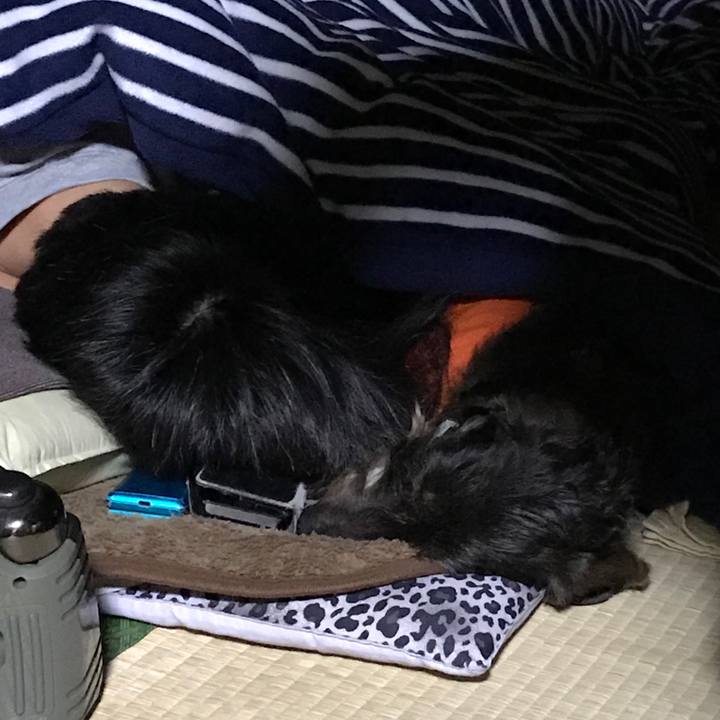 96247c78 13d4 42fa 87f4 452efcd66985 1513871411365