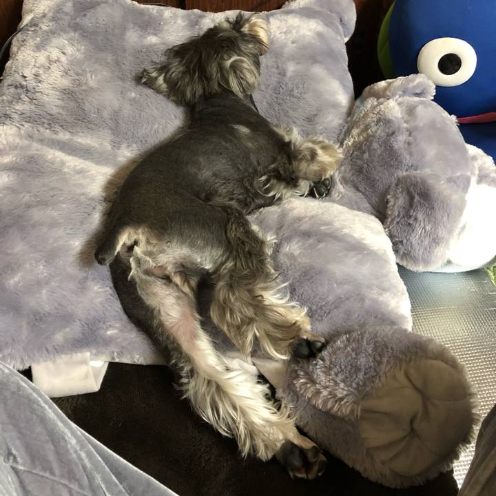 9624853e 0df8 4315 ab36 c1270651fb9a 1556111030055