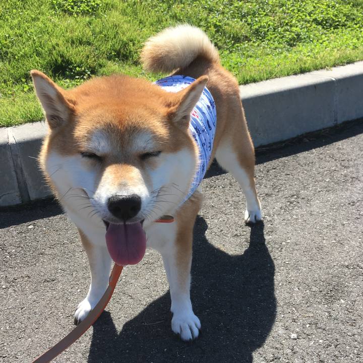 962496e0 812d 488f 972f 818f37600d13 1538793580999