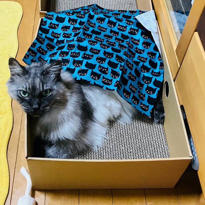 9624a924 d91a 426b a143 65d274673c10 1751245153988