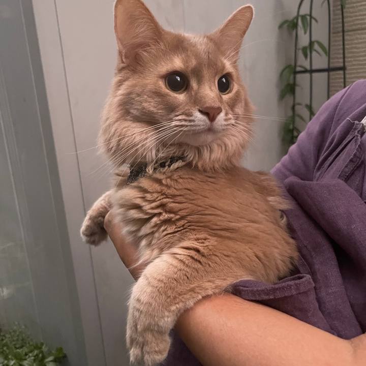 9624d206 2267 44f8 8843 6f71ea5c4798 1659135503655