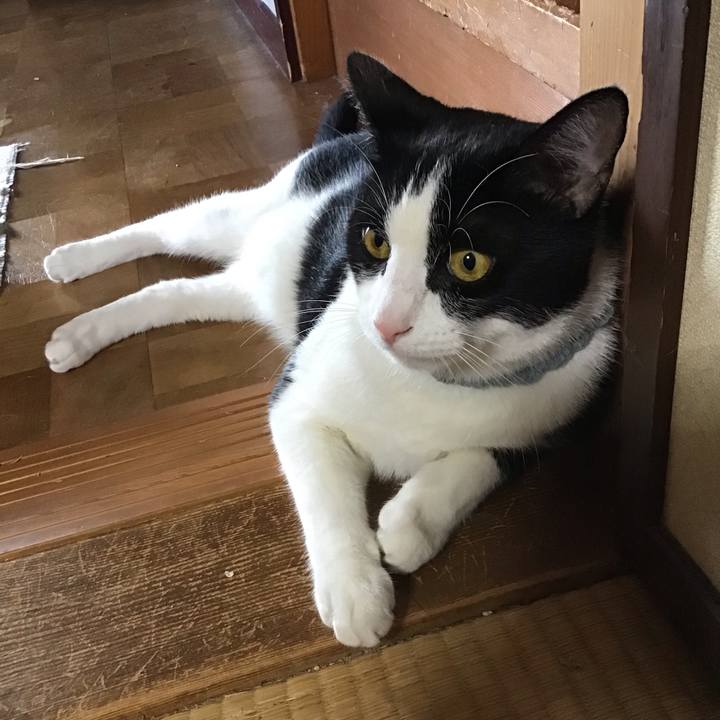 9624e08f 5966 4587 aa4c e94b048e93de 1662373396920