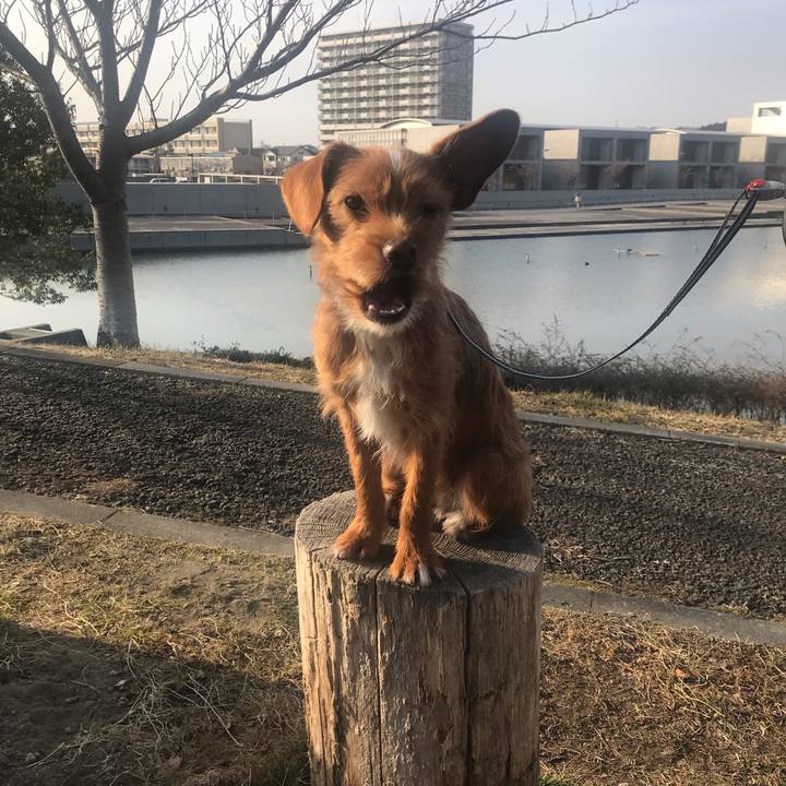 96255113 f077 4abb bd09 0be07fb5480e 1551668617789