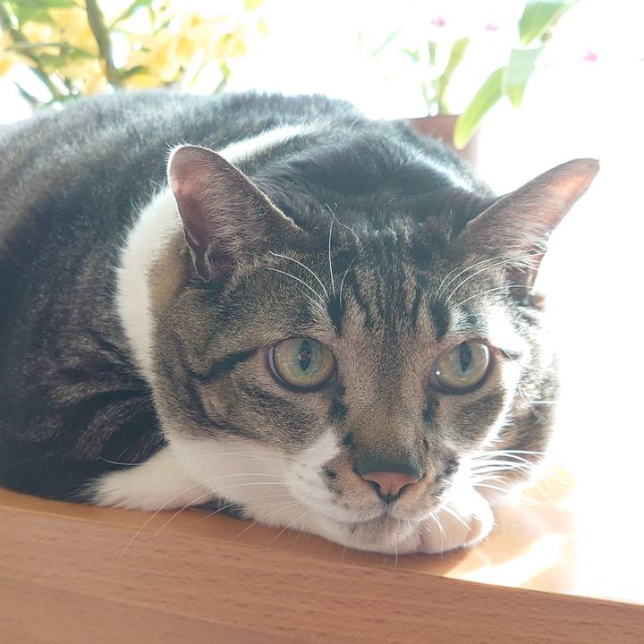 9625c887 9dd3 44c9 9c76 69fbd4e3b57d 1612921454613