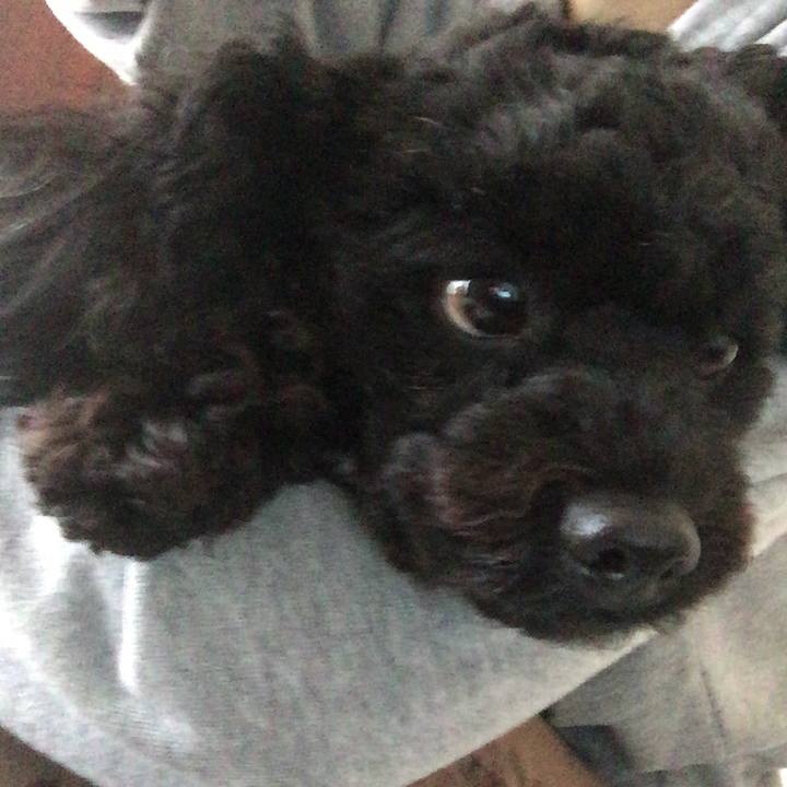 9625c8bf 21fb 46e0 aeb0 131bbe19da63 1524040062869