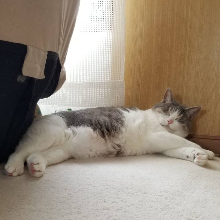 9625cf81 7cd0 4294 8208 891055d6b43c 1654095802191