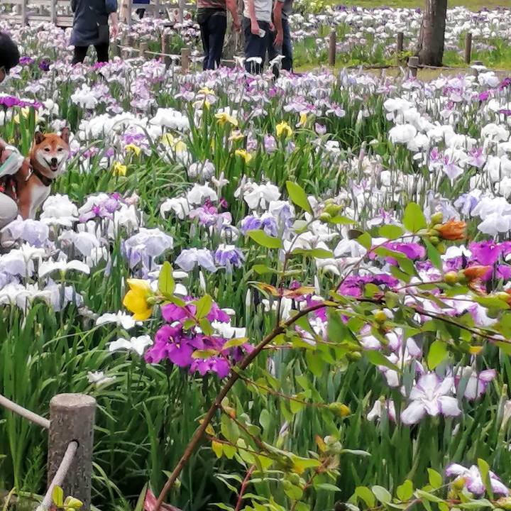 9625eb46 aca7 40c7 9425 1d9c5227743a 1622974735253