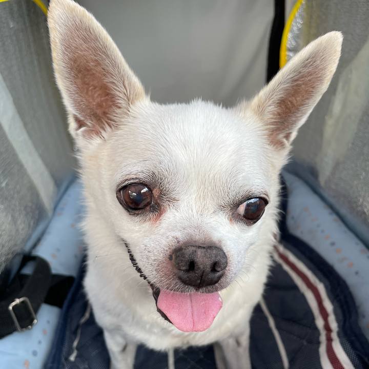 962600e2 ec3c 4fdd a3fd 34aafcbcc205 1693460627786