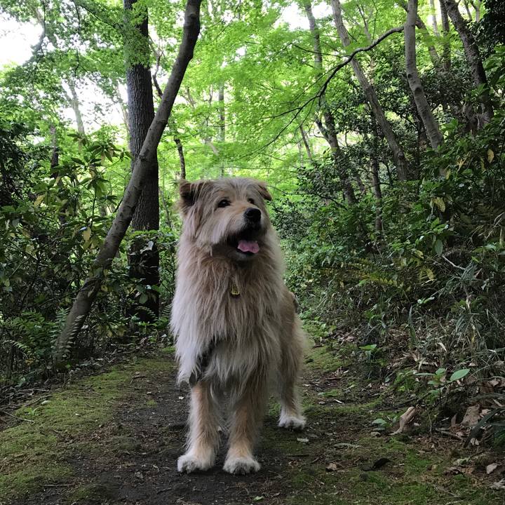 9626083b 35f6 4621 9a2a 66a61fb68f52 1557156860206