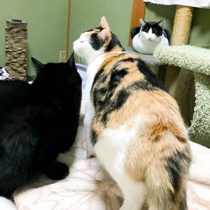 96264379 a811 4b83 9f5a ffdaa71ffef6 1515458921596