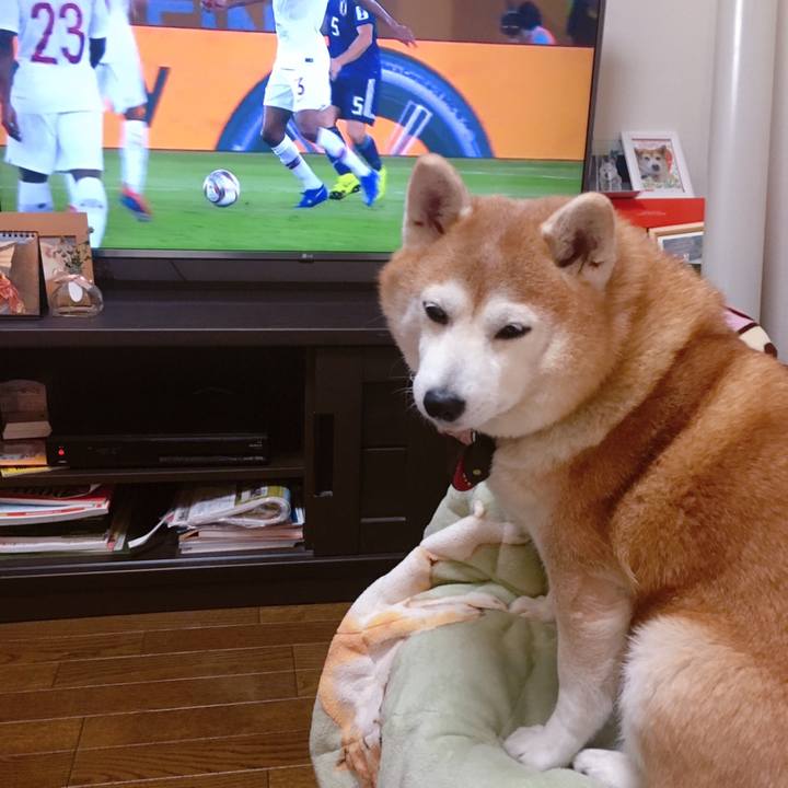 9626462b d16c 4904 b7c8 e7c6dbf47343 1549034561862