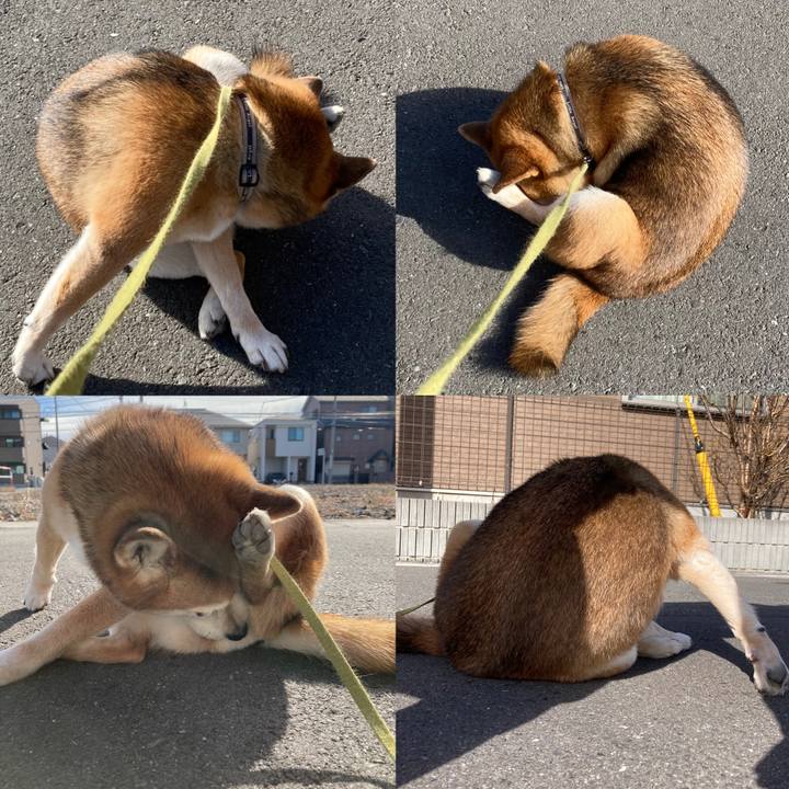 96266afc 5f19 4a84 b05c fe6759d48f88 1705556283258