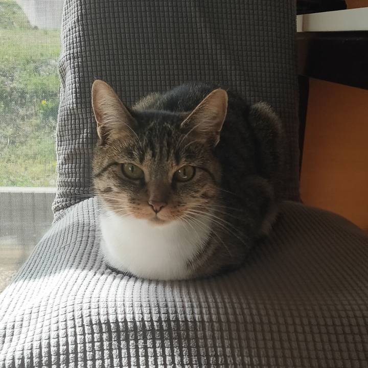 96268012 1982 4199 b4c7 7e9505ffdd98 1681346059535