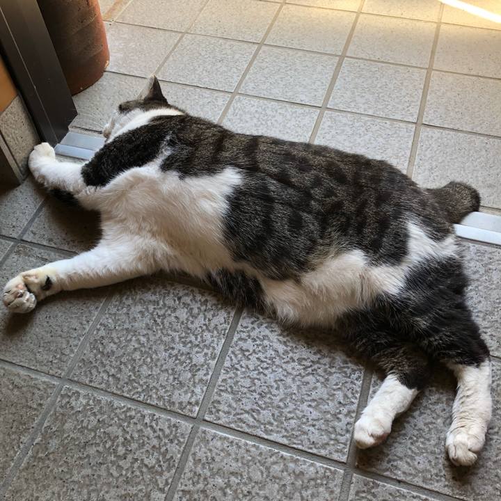 9626b223 bb87 416b b91b a35ead15560a 1534514139747