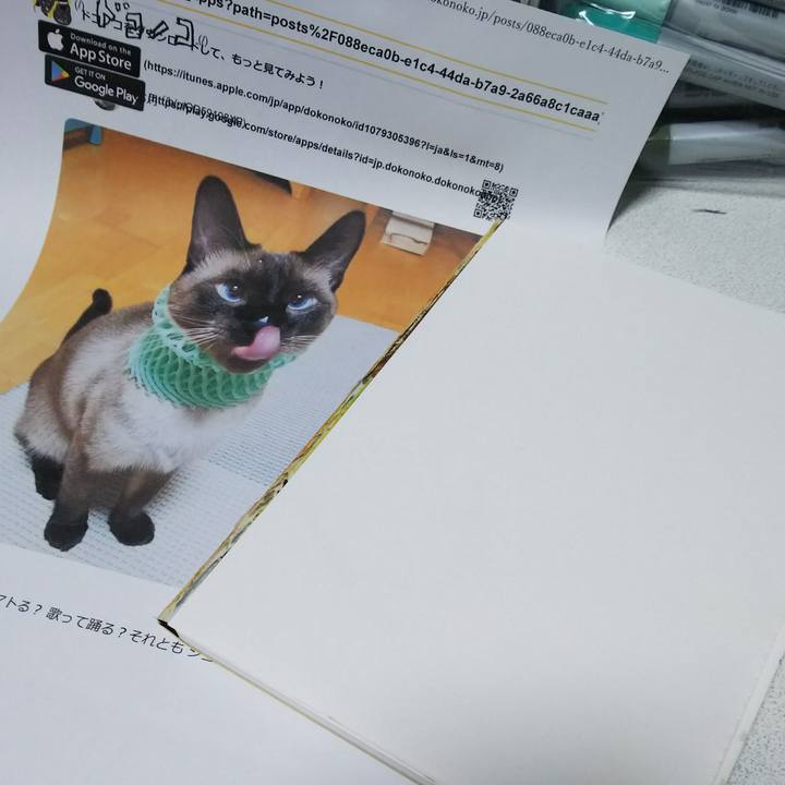 96272517 17d8 4d23 95df 50330c838dbd 1545560060692