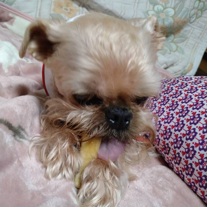 96272a40 e267 4235 a308 eacccaa241a3 1665753885570