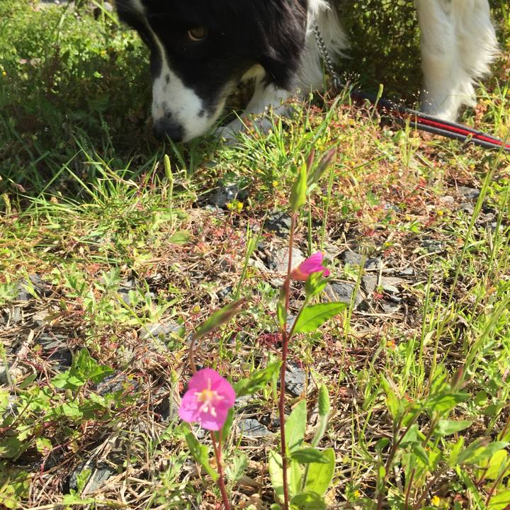 9627339d 30ed 4d2e 8e0e 1f4734f42e67 1586826041357