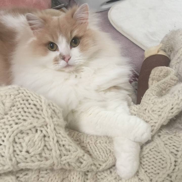 96274edc 64cb 4643 b0c5 0cae64dc2bb1 1520588752626