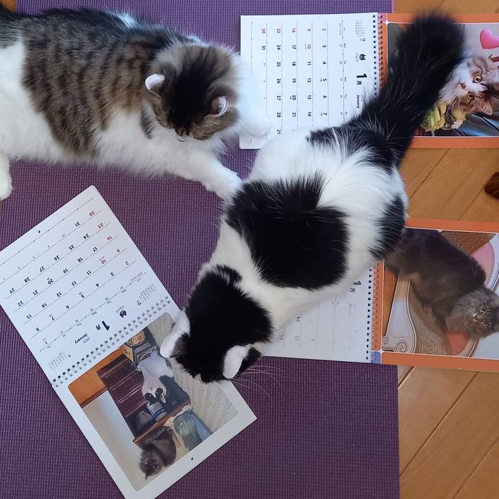 96275e10 4b4c 454e 92f2 6d33720edc3e 1641163230314