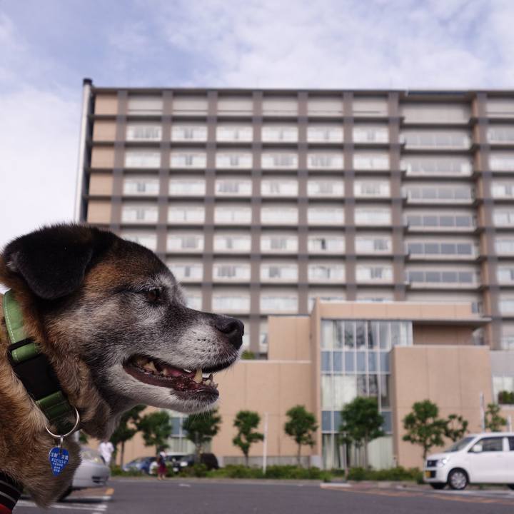 962787ce ccd1 4175 878e 05e72faa9e29 1526516840437