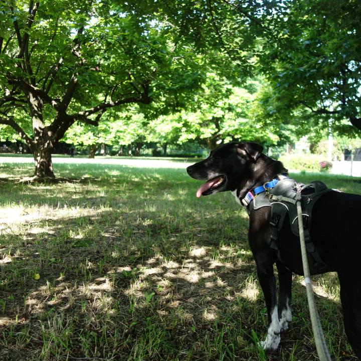 9627891c d1b0 418f b6e2 9bf99d5d69d0 1654129196078