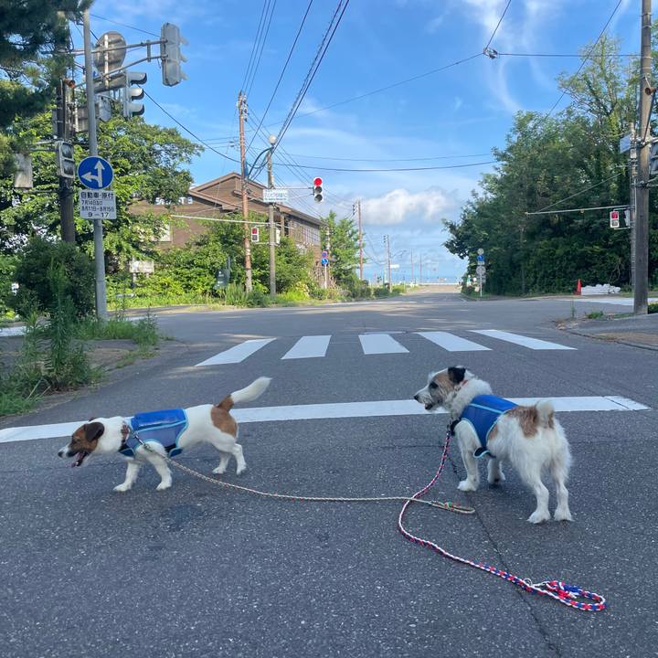 96278a22 4347 4d69 a85e 13dfa1d9c639 1723173231394