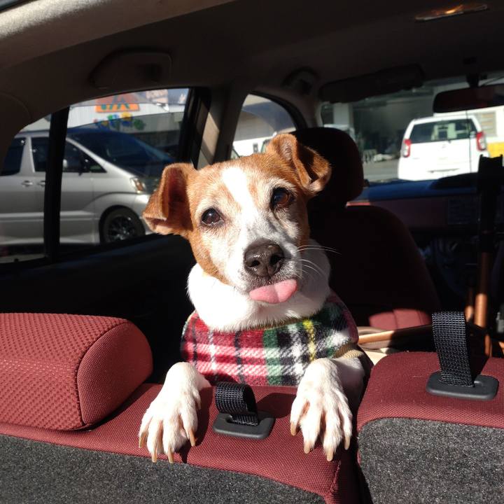 9627c33e 2c76 40da a48c e61d48511811 1764477800176