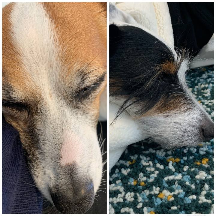 9627d006 1ab6 49b4 8942 ce5112043f7e 1584255518604