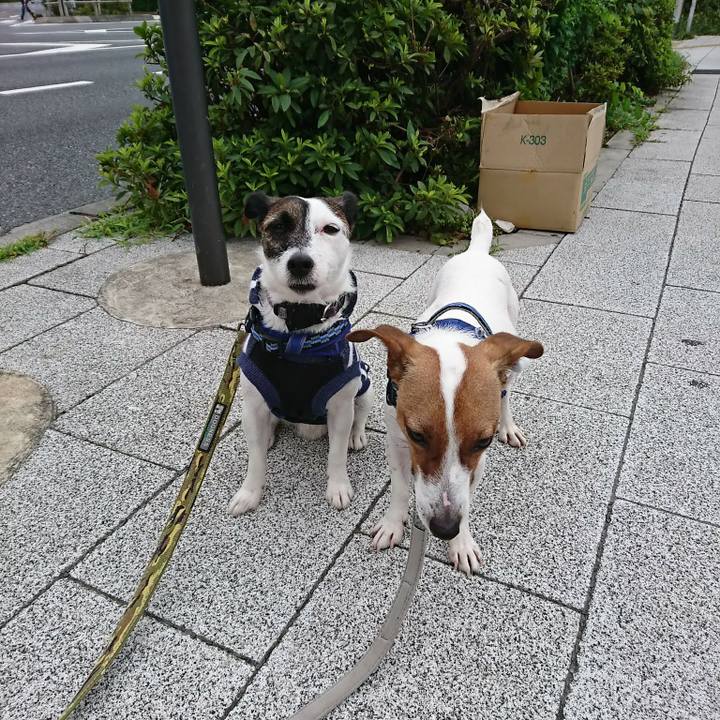 96280e04 1383 4e79 aa1e e4142c736eb0 1530655534994