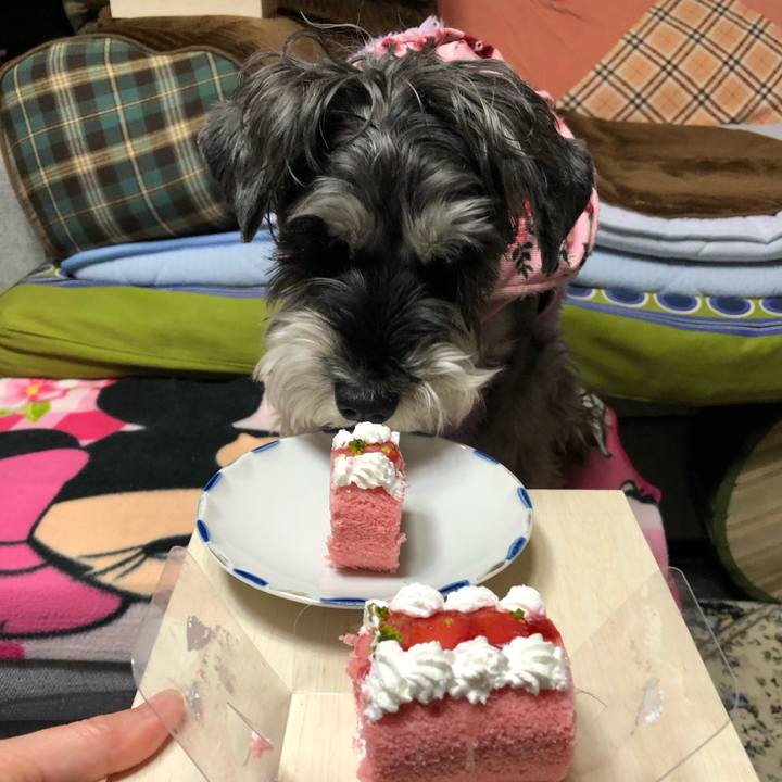 96280fcc 3a5d 423b 9f8b d3412c858cc3 1672927383953