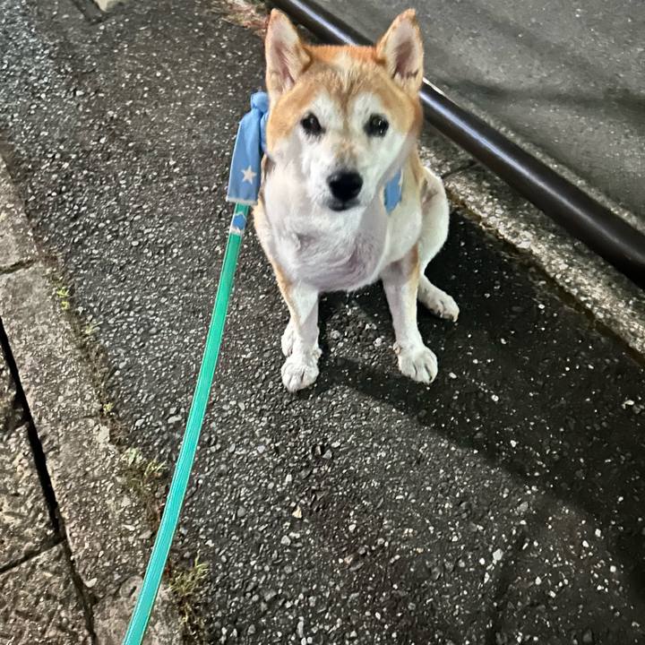 96282f0e 75fe 49ba 998e 36ff0d0f22ac 1758104755999