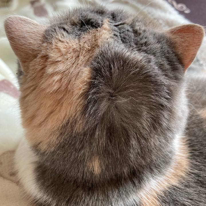 9628483a cae5 4a31 9d11 39cd2fcff5ec 1642668534041