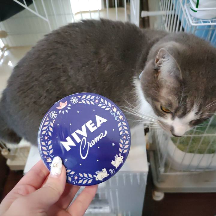 96287781 0e6a 42ff 861b 9d67dd299f62 1669617302946