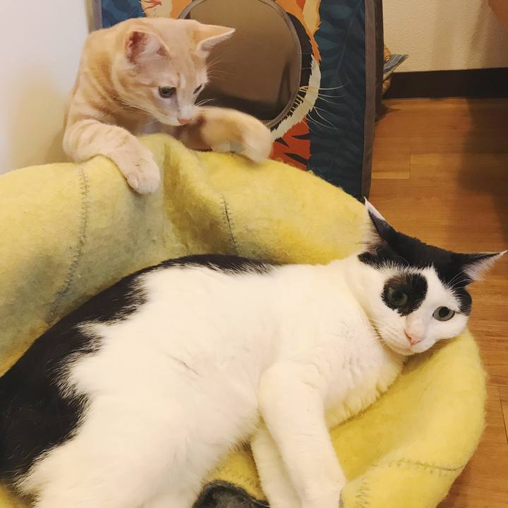 9628807d bf27 4d2d afa4 481cae415efc 1560766018193