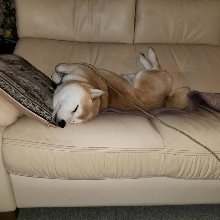 9628a5dd a051 40e9 be58 3b7cba7d7e75 1640250972404