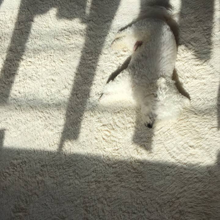 9628c1f2 aae4 4709 9591 e196be33ae8e 1545619307798