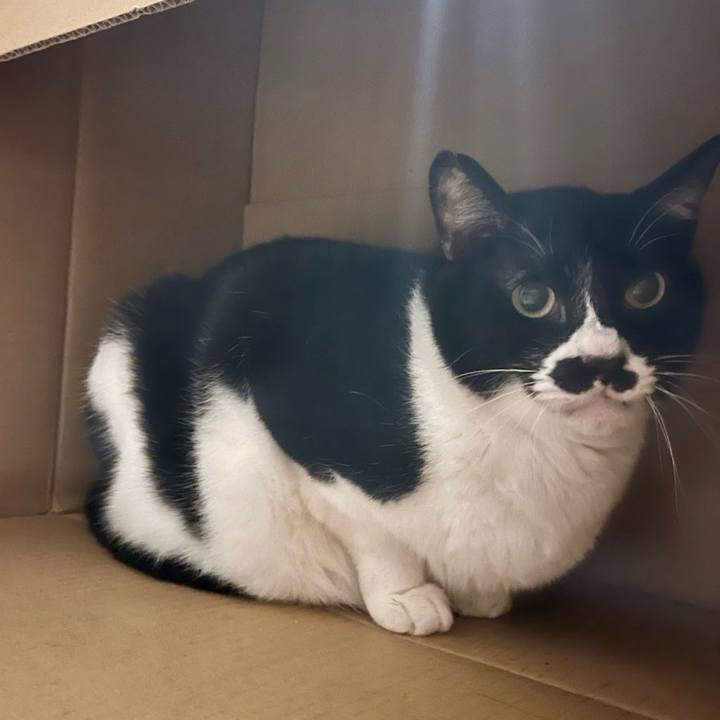 9628c408 2742 4d5f bffc fbe942cfdc57 1711716479714