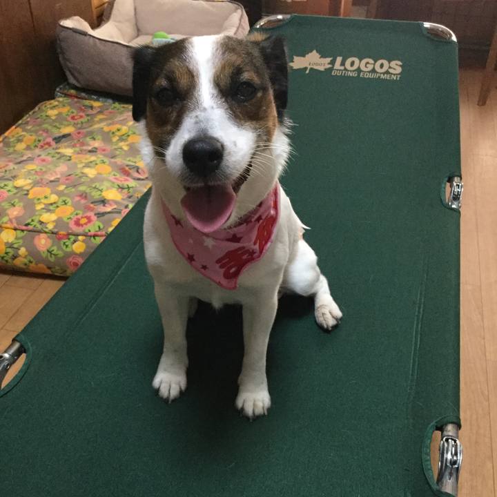 9628cc06 3072 4ab1 bc48 e78b4d7c688a 1556266806057