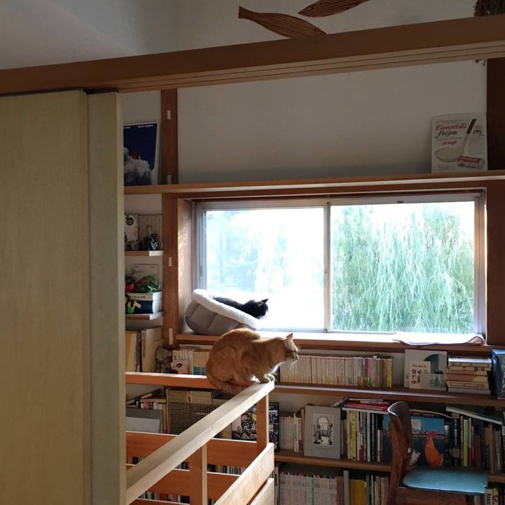 9628e638 81bb 44fb aee4 25a536251d64 1572960619563