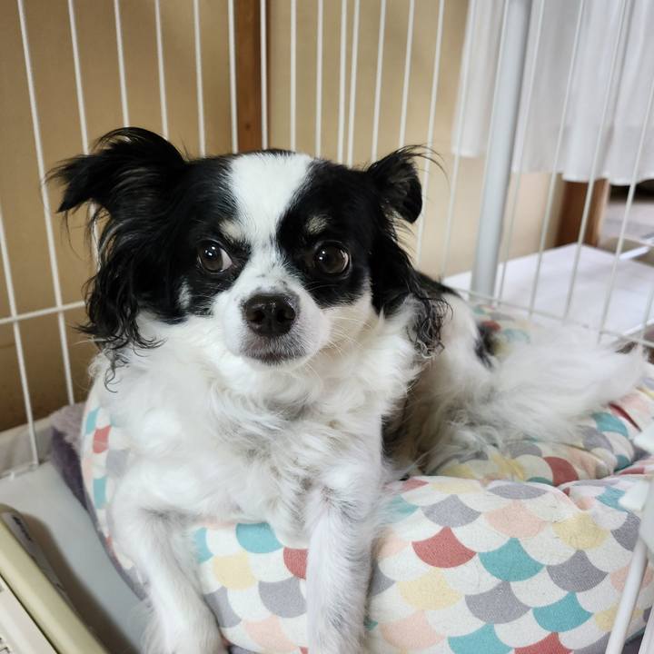 962908c8 e651 4be6 9f75 bc10414819e7 1761002416518