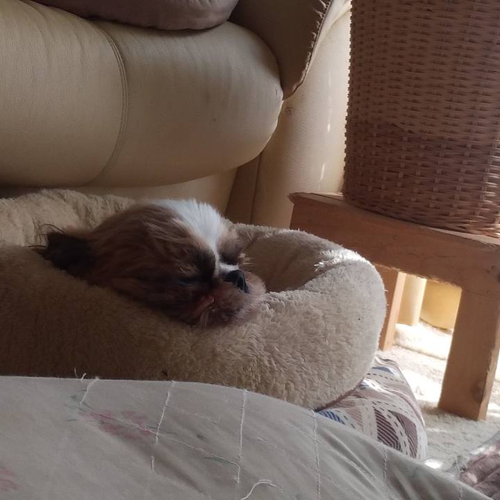 96292020 1a4d 4aca b14c 7f397bb9355e 1616739633192