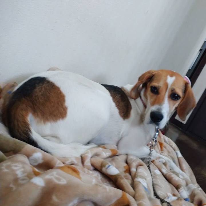 96295e36 8d1f 489c 948b 59806a3fef99 1601446512914