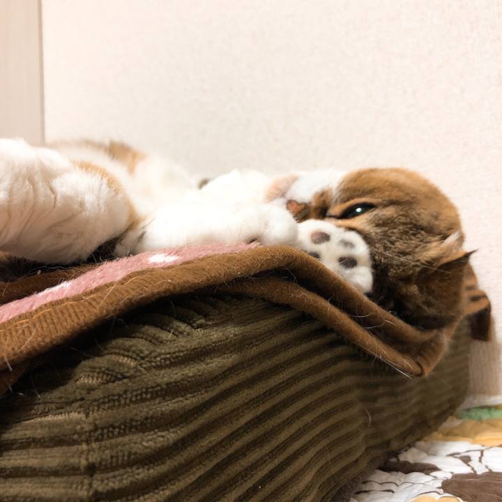 962968a4 abac 4ec5 8f01 e2b875330654 1557414958540