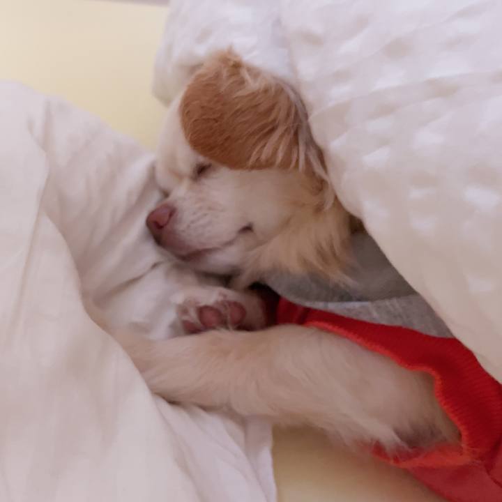 9629706b 43b8 437a 832c e6ec9a34b4ac 1748510315024