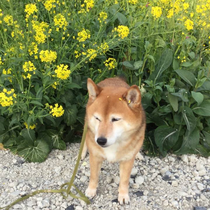 96298a92 5c12 4126 8bec c77598e71184 1586664274350