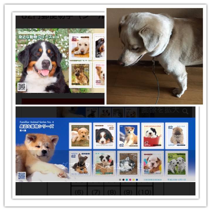 9629ba76 3622 48b1 8676 320cc5f05c92 1507819969008