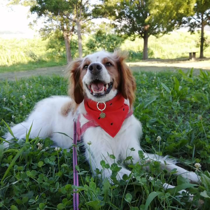 962a2aa8 63fc 46e7 80c5 5f2f595937a5 1626694048331